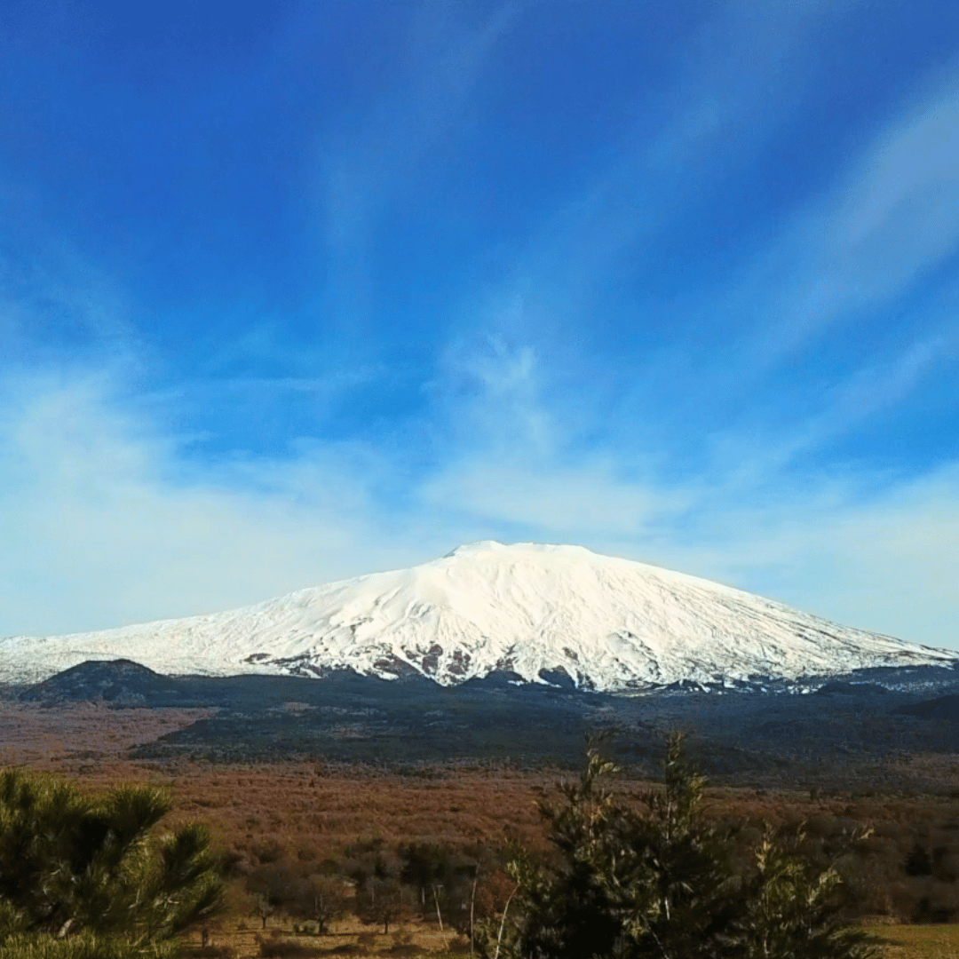 Vista Etna da Bronte