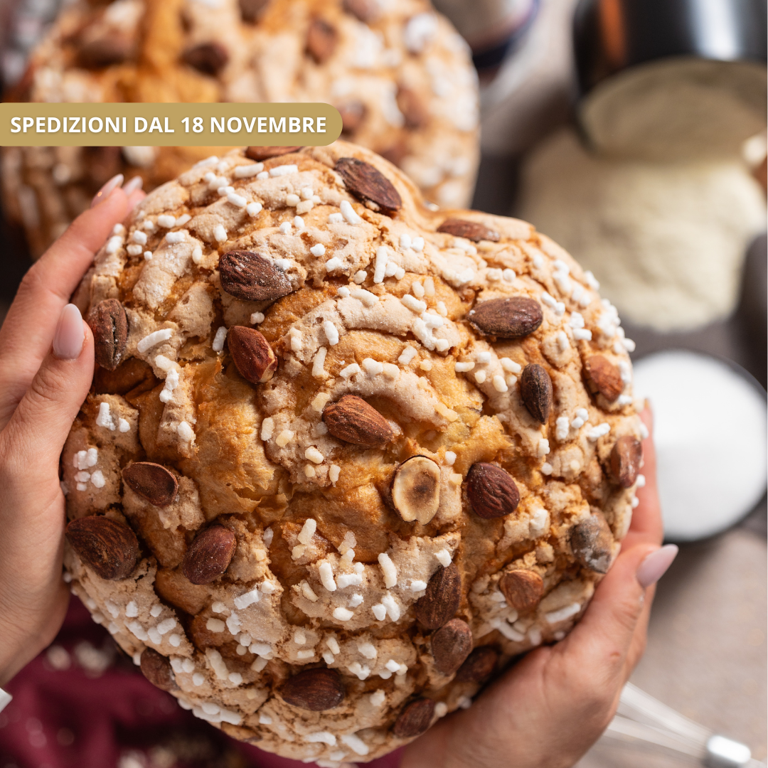 Panettone Tradizionale con Canditi e Uvetta